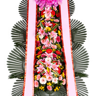 축하3단 일반(PE4602)
