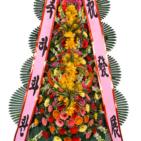 축하4단 [서현축-22호]