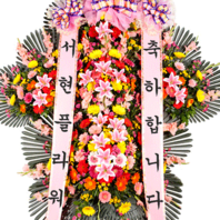 축하5단 [서현축-23호]