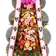 축하3단 대 [서현축-13호]