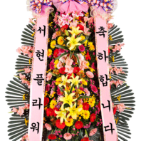 축하3단 일반형(PB3207) [서현축-6호]